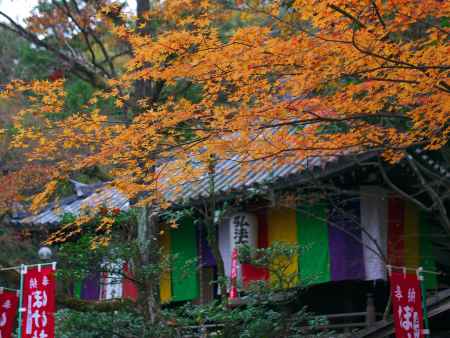 今熊野観音寺大師堂と紅葉