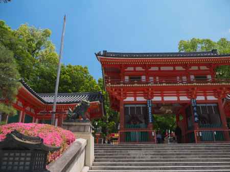 八坂神社西楼門のサツキ
