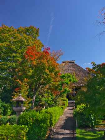 瑞光寺の初秋の景色