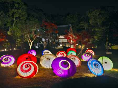 大御堂観音寺のライトアップと和傘1