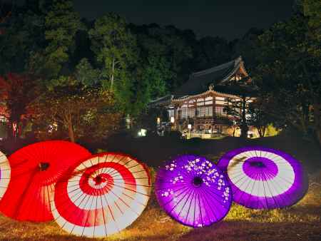 大御堂観音寺のライトアップと和傘2