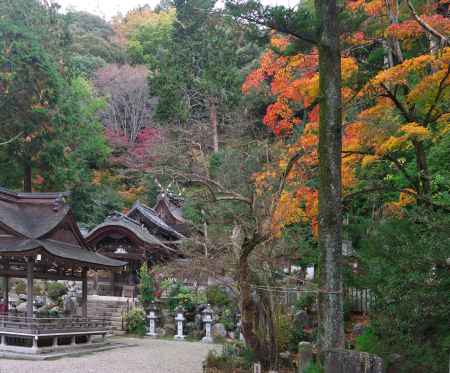 玉津岡神社の紅葉1