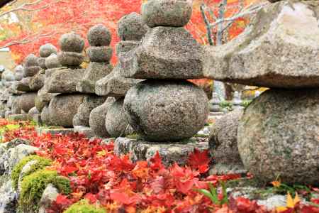 化野念仏寺紅葉2016