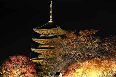 東寺紅葉、ライトアップ2016