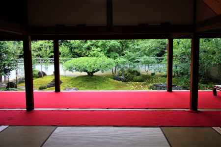 妙心寺東林院の沙羅双樹２