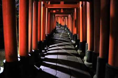 夜の伏見稲荷大社２
