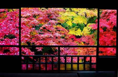 瑠璃光院の紅葉１