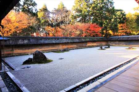 龍安寺石庭の紅葉