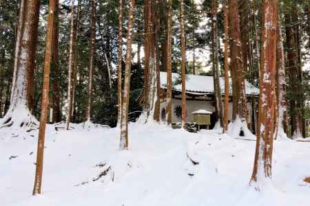 鞍馬寺、雪の大杉権現社
