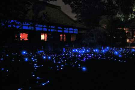 東山花灯路５、青蓮院