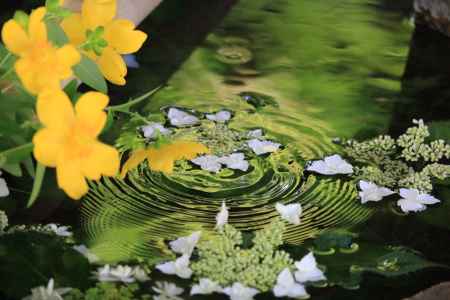 真如堂の手水鉢