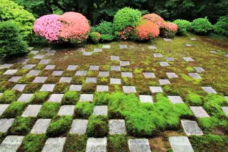 東福寺北庭のサツキ2018