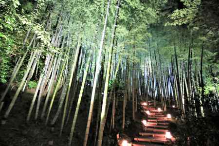 高台寺、燈明会2018