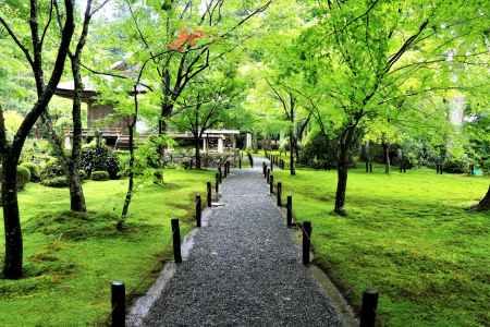 雨上がりの三千院