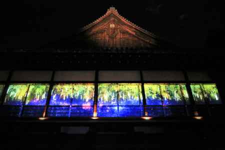 二条城京の七夕ライトアップ2019-2