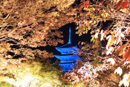 東寺ブルーライトアップ２