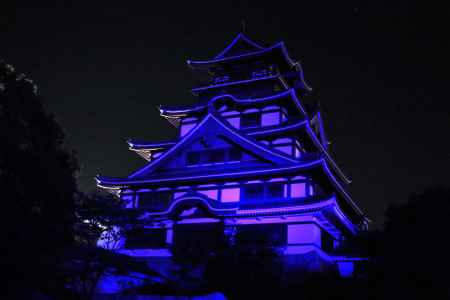 伏見桃山城ブルーライトアップ