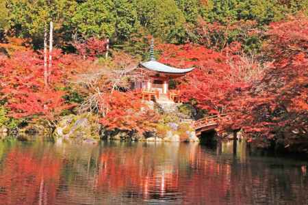 醍醐寺の紅葉2019