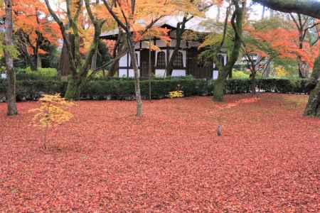 真如堂の紅葉2019-2