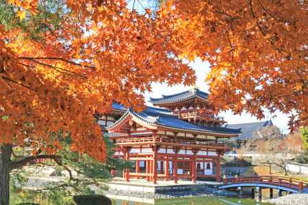 平等院の紅葉2019-2