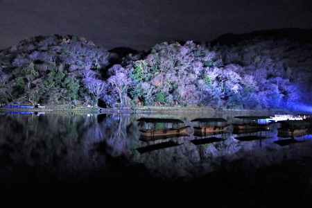 嵐山花灯路2019-2