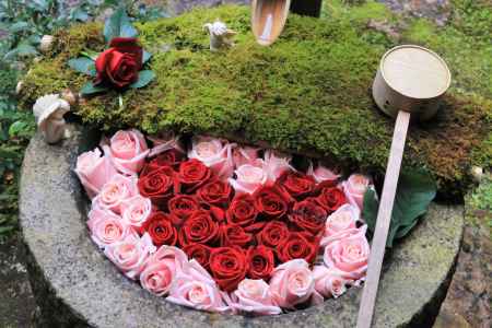 柳谷観音の花手水、バレンタイン