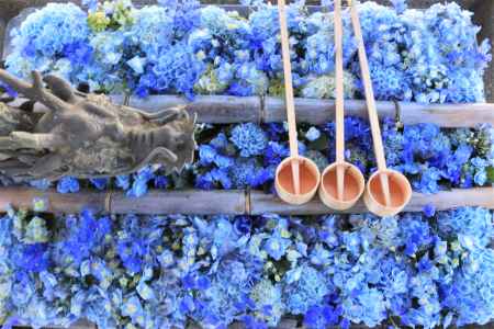 柳谷観音さんの花手水2020.5月