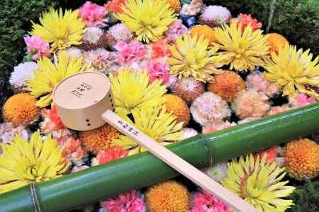 貴船神社の花手水