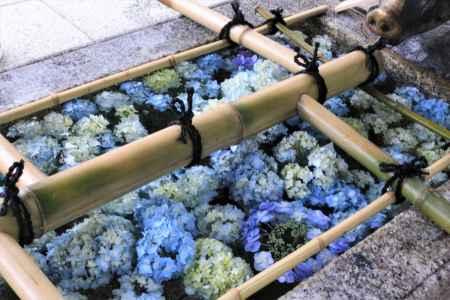 護王神社の花手水