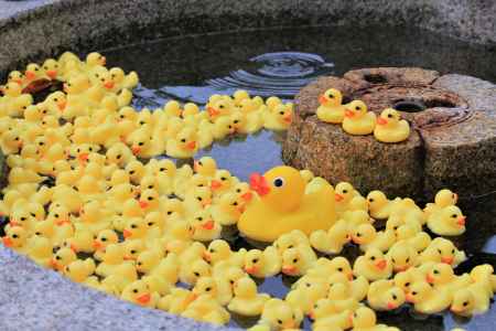 粟田神社、手水