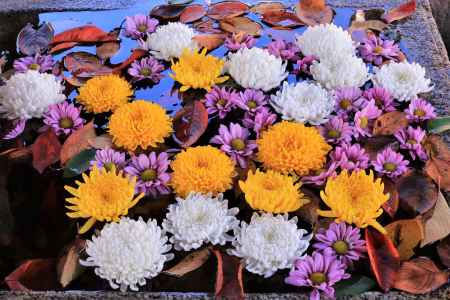 金戒光明寺、手水