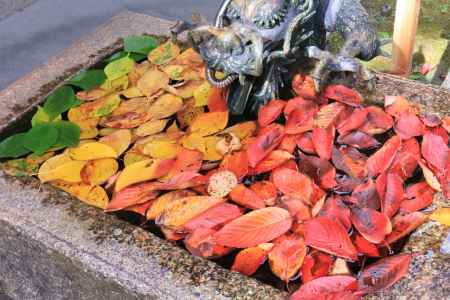 六孫王神社にて