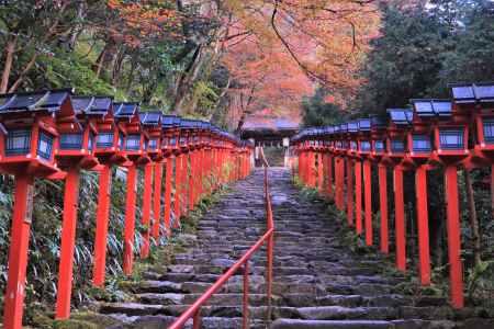貴船神社、紅葉の参道2021