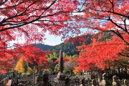 あだし野念仏寺の紅葉2021