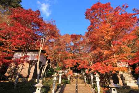 南丹市の西光寺の紅葉