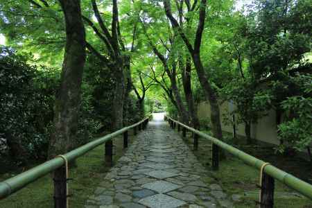 光悦寺の新緑2022