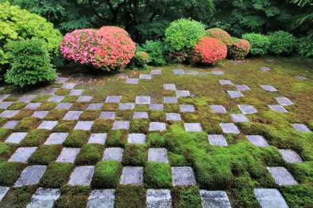東福寺北庭のサツキ2022