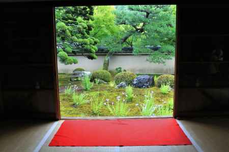 天得院の桔梗2022