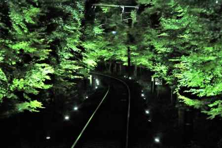 叡山電車、青もみじのライトアップ2022
