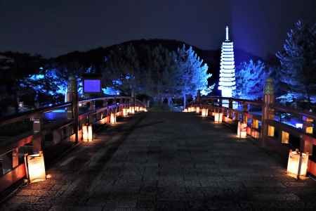 宇治、十三重石塔のライトアップ