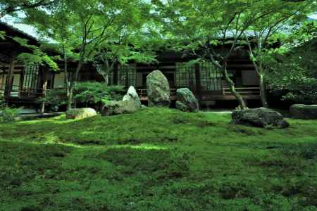 建仁寺、緑の潮音庭