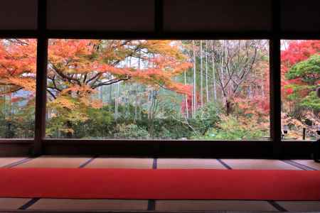 宝泉院の紅葉2022