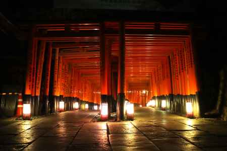 伏見稲荷大社千本鳥居ライトアップ2023
