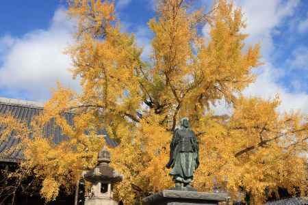 頂妙寺の紅葉2023