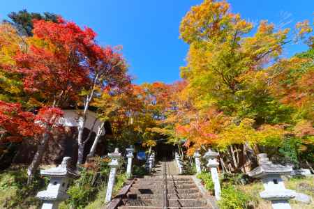 西光寺の紅葉2023