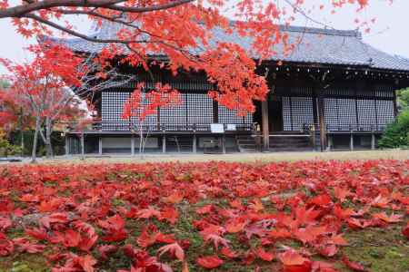 勧修寺の紅葉2023
