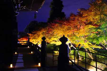 妙顕寺の紅葉ライトアップ2023