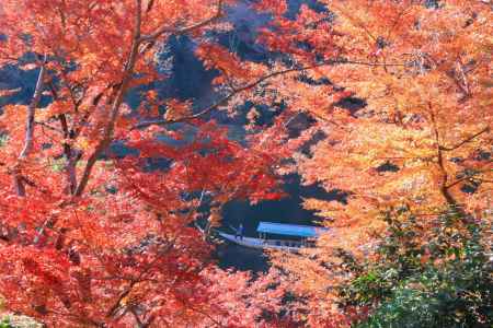 嵐山の紅葉2023