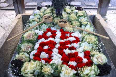 柳谷観音の龍花手水