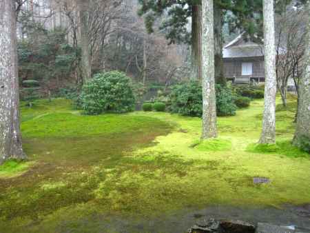 雨の三千院有清園